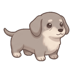 Nori, a dachshund