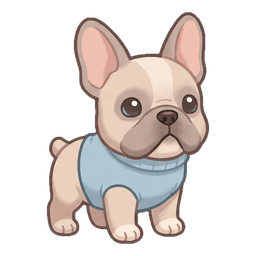 Poko, a french bulldog puppy in a blue sweater